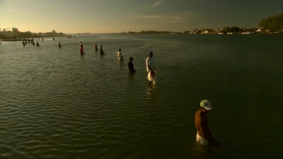 bbc_laguna