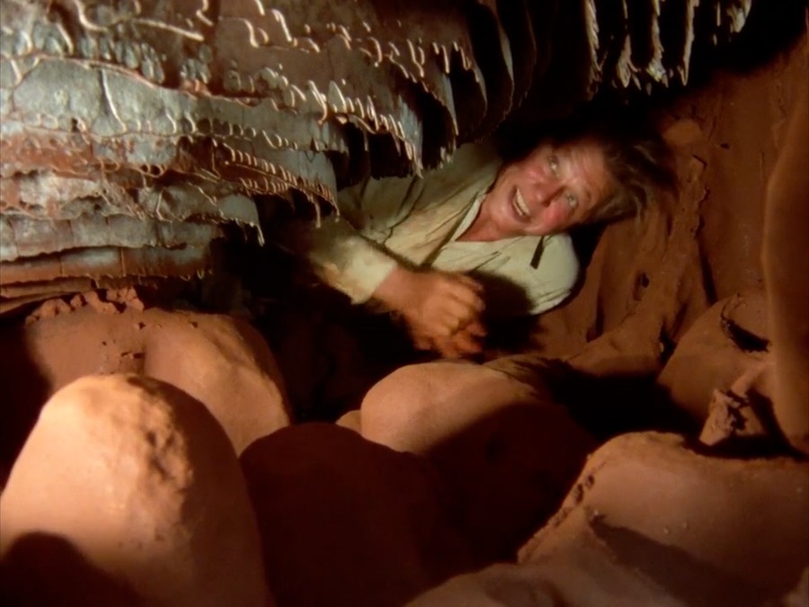 bbc_termites